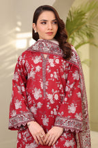 Shirt Shalwar Dupatta - 0378