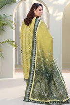 Shirt Shalwar Dupatta - 0381