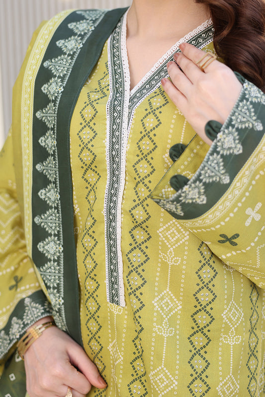 Shirt Shalwar Dupatta - 0381