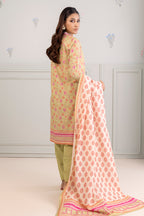 Shirt Shalwar Dupatta - 0499