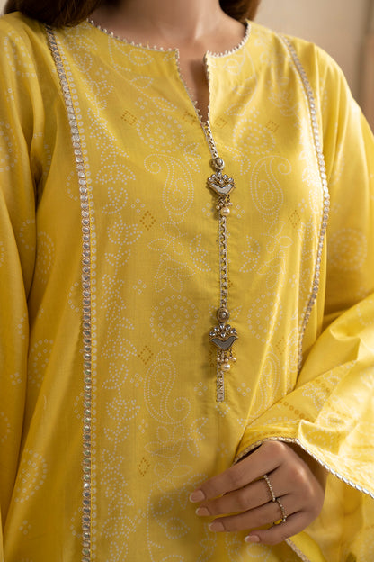 Shirt Shalwar Dupatta - 0584