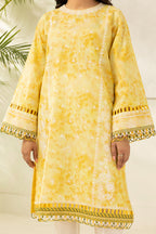 Embroidered Shirt Dupatta - 0408