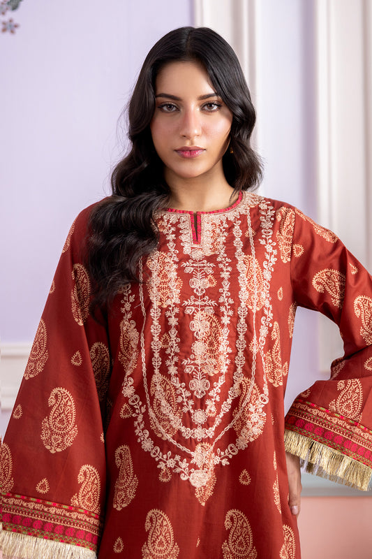 Embroidered Shirt Shalwar - 0529