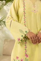Embroidered Shirt Shalwar - 0532
