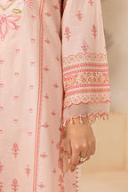 Embroidered Shirt Shalwar - 0674