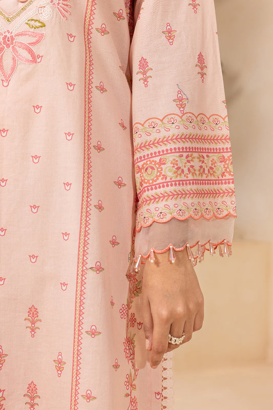 Embroidered Shirt Shalwar - 0674