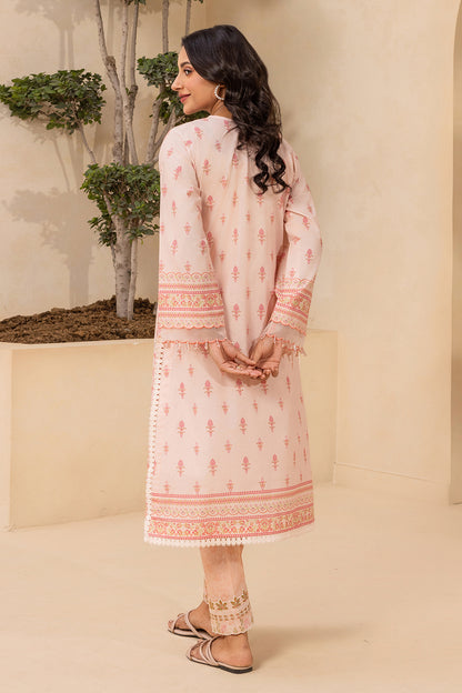 Embroidered Shirt Shalwar - 0674