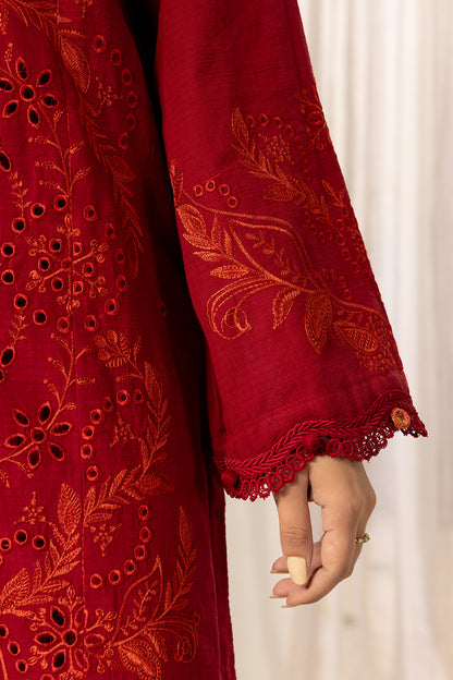 Embroidered Shirt Shalwar - 1181