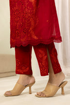 Embroidered Shirt Shalwar - 1181