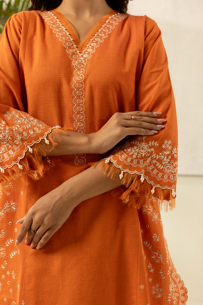 Embroidered Shirt Shalwar - 1196
