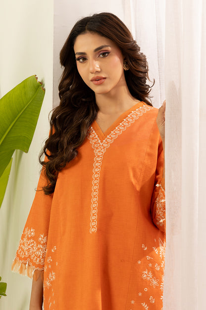 Embroidered Shirt Shalwar - 1196