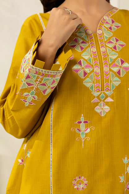 Embroidered Shirt Shalwar - 1198