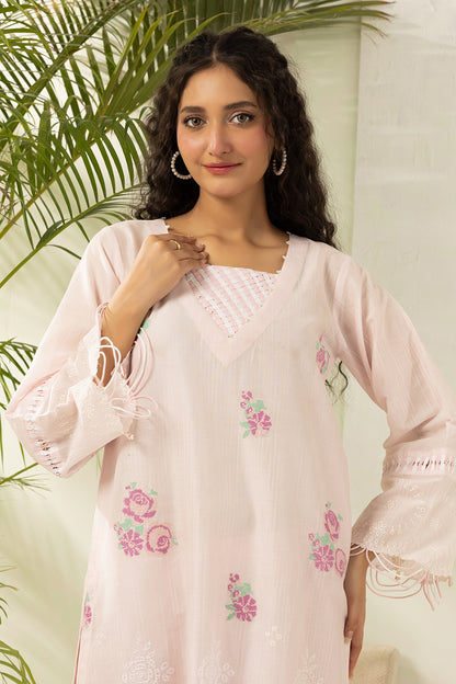 Embroidered Shirt Shalwar - 1204