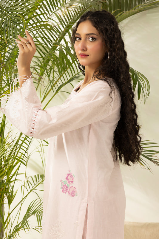 Embroidered Shirt Shalwar - 1204