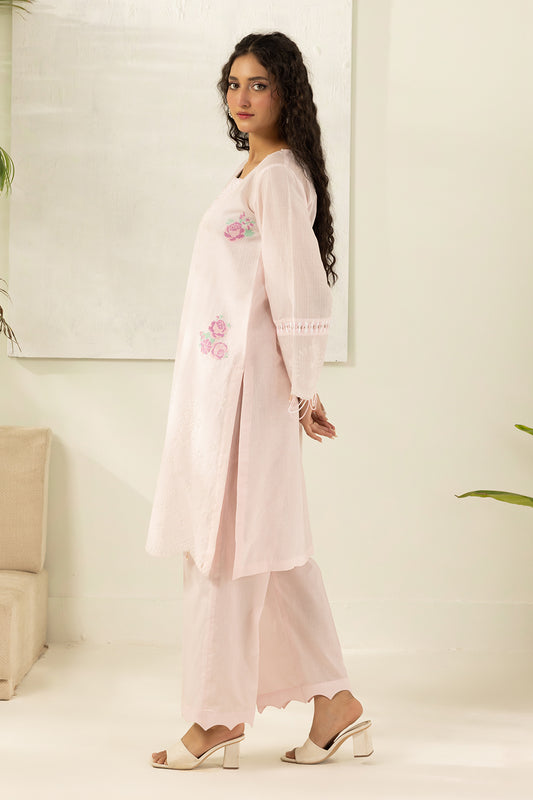 Embroidered Shirt Shalwar - 1204