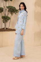 Embroidered Shirt Shalwar - 1205