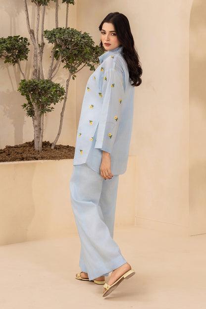 Embroidered Shirt Shalwar - 1205