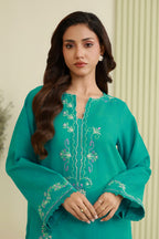 Embroidered Shirt Shalwar - 1214