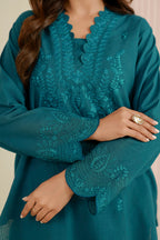 Embroidered Shirt Shalwar - 1220