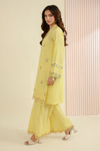 Embroidered Shirt Shalwar - 1224