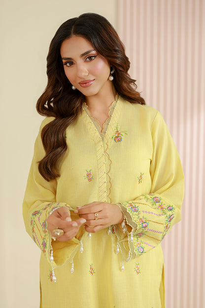 Embroidered Shirt Shalwar - 1224