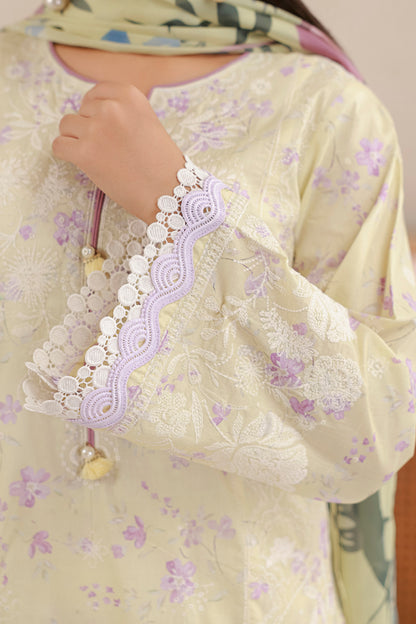 Embroidered Shirt Shalwar Dupatta - 0850