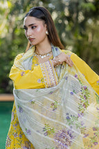 Embroidered Shirt Shalwar Dupatta - 4088