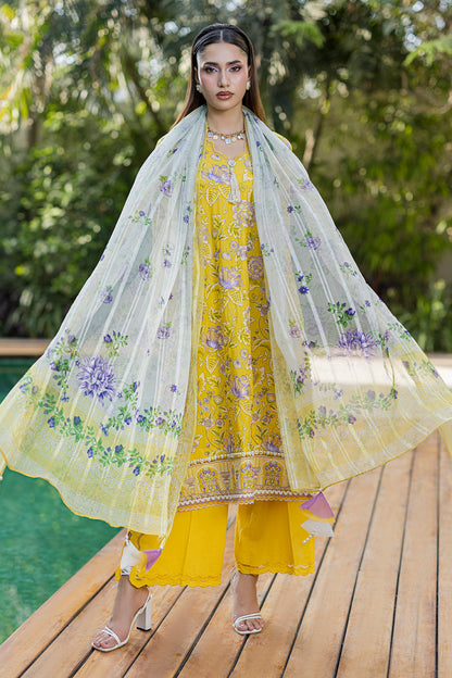 Embroidered Shirt Shalwar Dupatta - 4088