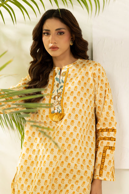 Shirt Shalwar - 0404