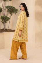 Shirt Shalwar - 0528