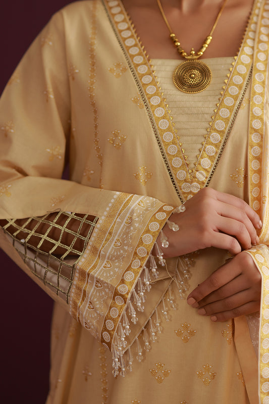 Shirt Shalwar Dupatta - 0560