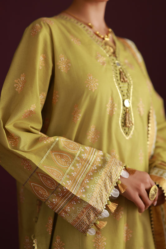 Shirt Shalwar Dupatta - 0702