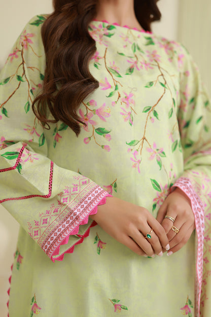 Shirt Shalwar Dupatta - 0884