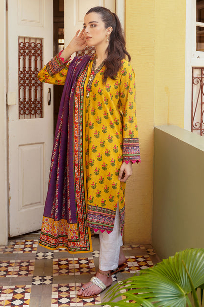 Shirt Dupatta - 0012