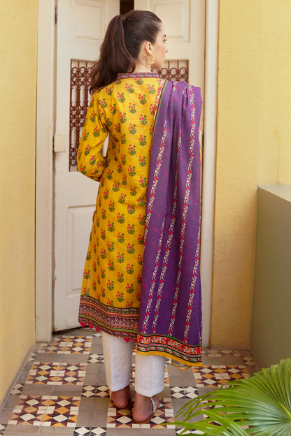 Shirt Dupatta - 0012