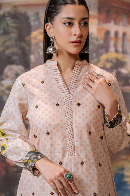 Embroidered Shirt Shalwar - 0439