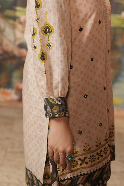 Embroidered Shirt Shalwar - 0439