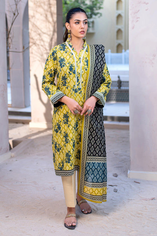 Shirt Dupatta - 0548