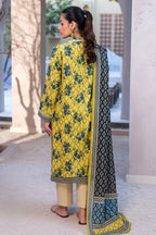Shirt Dupatta - 0548
