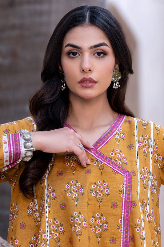 Shirt Shalwar - 0558