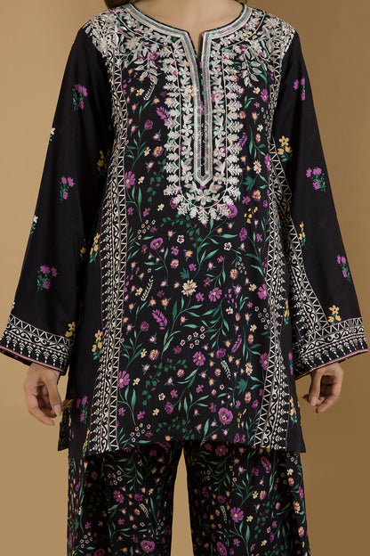 Embroidered Shirt Shalwar - 0095