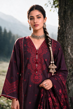 Embroidered Shirt Shalwar Shawl - 0340