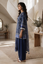 Shirt Shalwar Shawl - 0308