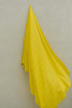 Dupatta - 2024
