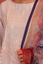 Embroidered Shirt Shalwar Dupatta - 2010