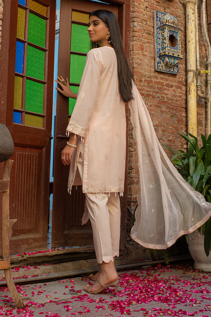 Embroidered Shirt Shalwar Dupatta - 2029