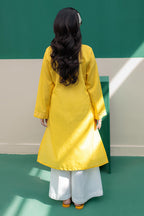 Embroidered Kurta - 2895