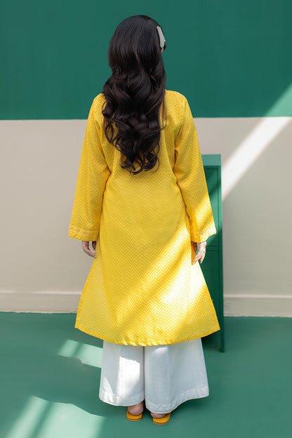 Embroidered Kurta - 2895