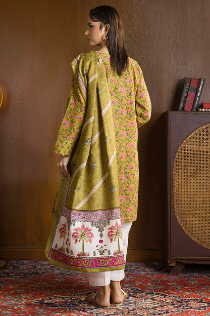 Embroidered Kurta Shawl - 3036
