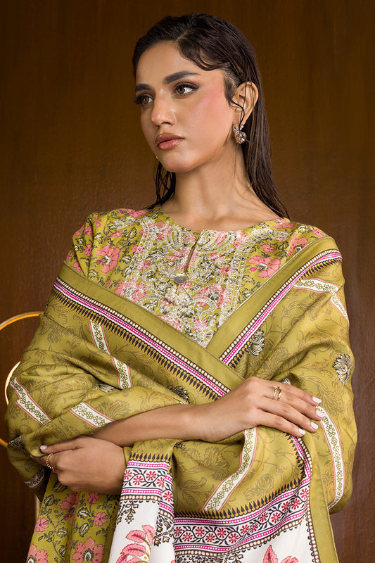 Embroidered Kurta Shawl - 3036